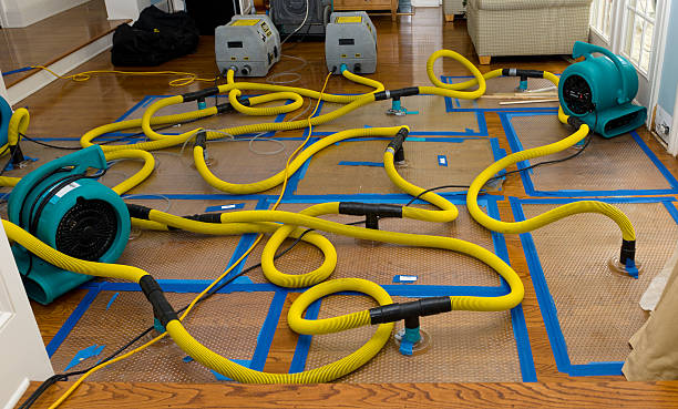 Professional Burst Pipe Water Damage technician working in Nellis, WV