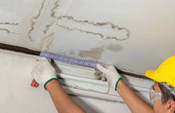 Affordable Burst Pipe Water Damage solutions in Nellis, WV